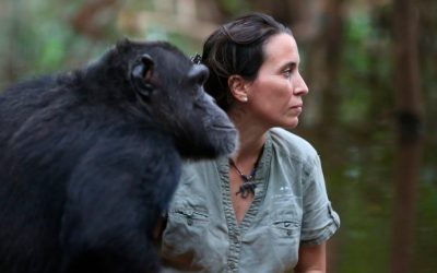 PERSONAJE DE LA SEMANA: REBECA ATENCIA, LA ‘HEREDERA’ DE JANE GOODALL EN LA DEFENSA DE LOS CHIMPANCÉS