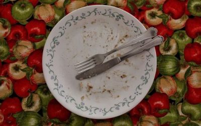 NO AL DESPERDICIO: CUATRO DE CADA DIEZ ALIMENTOS QUE SE PRODUCEN NO SON CONSUMIDOS