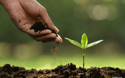 DÍA MUNDIAL DE LA AGRICULTURA