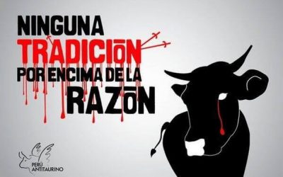 LOS TOROS Y LA LEY