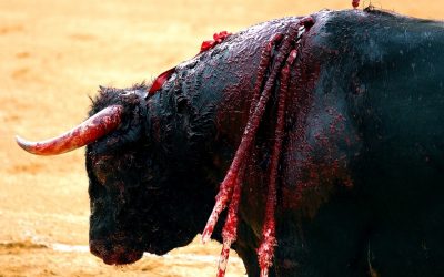 TOROS Y CORRALEJAS