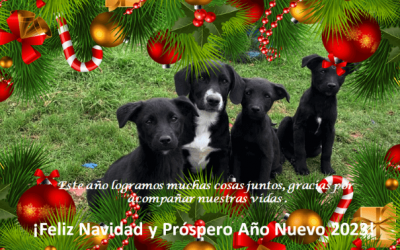 NAVIDAD
