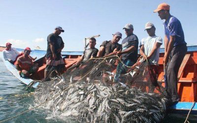 LA “FIESTA DEL OCÉANO” Y NUESTRAS ISLAS