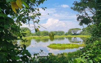 LOS HUMEDALES EN COLOMBIA – PATRIMONIO AMBIENTAL Y CULTURAL