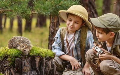 DÍA INTERNACIONAL DE LOS BOSQUES – 21 DE MARZO