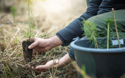 EL MEDIO AMBIENTE ES UN CONCEPTO INTEGRAL