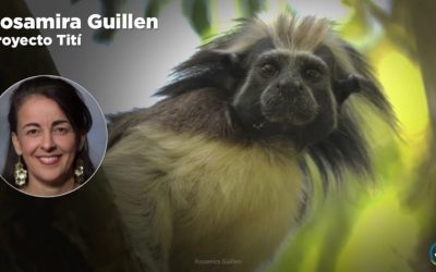 PERSONAJE DE LA SEMANA: ROSAMIRA GUILLÉN