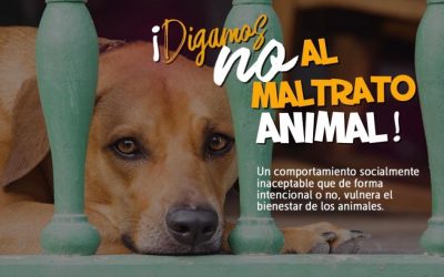 GRUPO ESPECIAL PARA LA LUCHA CONTRA EL MALTRATO ANIMAL (GELMA)