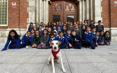 LA IMPORTANCIA DE EDUCAR SOBRE EL CUIDADO ANIMAL