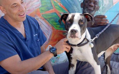 KWANE STEWART – EL VETERINARIO DE LA CALLE