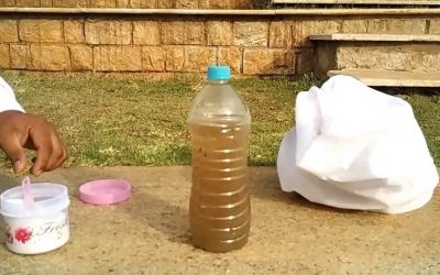 PERSONAJE DE LA SEMANA: POLY-GLU, EL «POLVO DE SOJA» CON CAPACIDAD PARA DEPURAR EL AGUA A BAJO COSTO