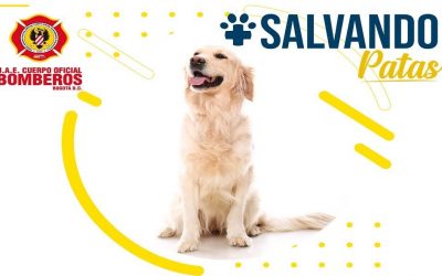 PERSONAJE DE LA SEMANA – CAMPAÑA SALVANDO PATAS –BOMBEROS DE BOGOTÁ