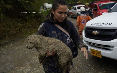 SABIAS QUÉ: POR PRIMERA VEZ EN COLOMBIA LOS ANIMALES SERIAN INCLUIDOS EN LA POLITICA NACIONAL DE GESTIÓN DE RIESGO?