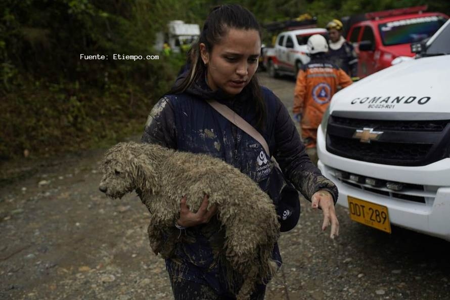 SABIAS QUÉ: POR PRIMERA VEZ EN COLOMBIA LOS ANIMALES SERIAN INCLUIDOS EN LA POLITICA NACIONAL DE GESTIÓN DE RIESGO?
