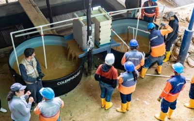 PERSONAJE DE LA SEMANA: MINEROS DE SANTANDER QUE PONEN EN FUNCIONAMIENTO PRIMERA PLANTA DE DESCONTAMINACIÓN DE ARENAS CON MERCURIO (COLOMBIA)