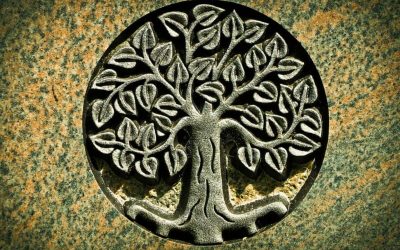 EL ÁRBOL, SU EXISTENCIA Y LA VIDA