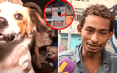 SEBASTIAN ARIAS, SALVA 25 PERROS DE INCENDIO (PERÚ)