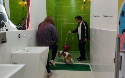 SABIAS QUÉ: ¿BOGOTÁ TENDRÁ EL PRIMER BAÑO PÚBLICO PARA MASCOTAS? (COLOMBIA)