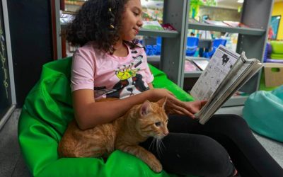 PERSONAJE DE LA SEMANA: BIBLIOTECAS PET FRIENDLY EN MEDELLIN (COLOMBIA)