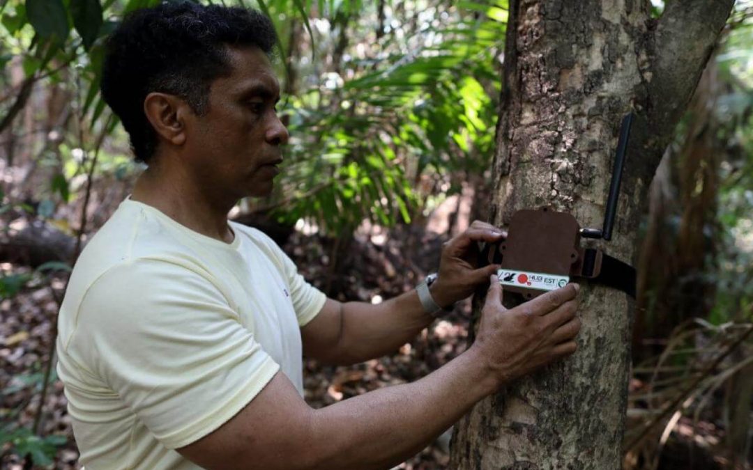 PERSONAJE DE LA SEMANA: CURUPIRA, UN GUARDIÁN CON INTELIGENCIA ARTIFICIAL PARA LUCHAR CONTRA LA DEFORESTACIÓN EN LA AMAZONÍA (COLOMBIA)