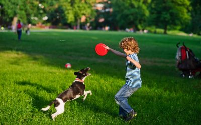 SABÍAS QUÉ: ¿APROBARON ZONAS DE DESCANSO E HIDRATACIÓN PARA MASCOTAS EN BOGOTÁ? (COLOMBIA)