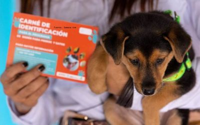 SABIAS QUÉ: ¿PEREIRA ES LA PRIMERA CIUDAD DEL PAÍS EN IMPLEMENTAR SISBÉN PARA MASCOTAS? (COLOMBIA)