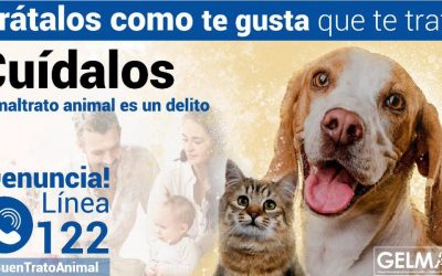 SABIAS QUÉ: ¿EL GELMA DE LA FISCALÍA HA OBTENIDO MÁS DE 200 CONDENAS POR MALTRATO ANIMAL? (COLOMBIA)
