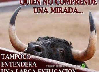 LA CRUELDAD DE LAS CORRIDAS DE TOROS