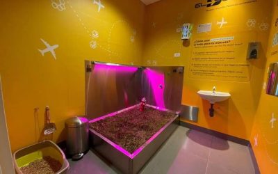 SABIAS QUÉ: ¿EL AEROPUERTO INTERNACIONAL EL DORADO DE BOGOTÁ YA TIENE 7 BAÑOS PARA MASCOTAS?