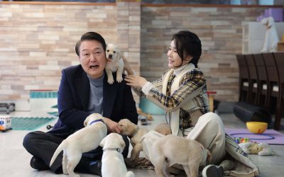 SABIAS QUÉ: ¿COREA DEL SUR PROHÍBE LA CRÍA, SACRIFICIO Y VENTA DE PERROS PARA EL CONSUMO DE SU CARNE?