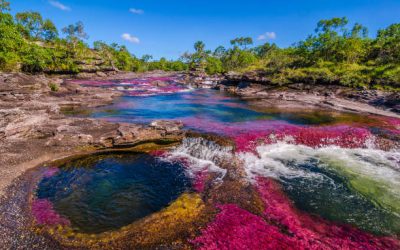 COLOMBIA GANÓ DEMANDA A PODEROSA MULTINACIONAL PETROLERA: NO PODRÁ HACER EXPLORACIÓN CERCA A CAÑO CRISTALES