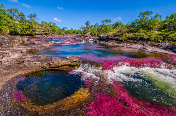 COLOMBIA GANÓ DEMANDA A PODEROSA MULTINACIONAL PETROLERA: NO PODRÁ HACER EXPLORACIÓN CERCA A CAÑO CRISTALES