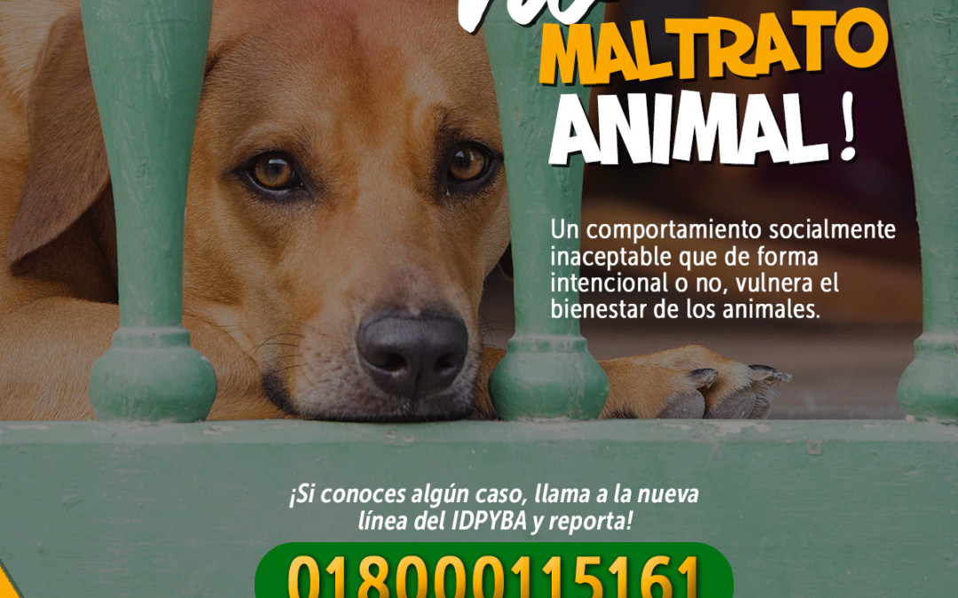 CASOS DE MALTRATO ANIMAL EN BOGOTÁ, REPORTARLOS SOLO A TRAVÉS DE LOS CANALES OFICIALES (COLOMBIA)