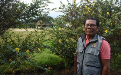 EL HOMBRE QUE HIZO UN PACTO CON LAS ABEJAS PARA SALVAR A SU COMUNIDAD EN GUAINÍA (COLOMBIA)