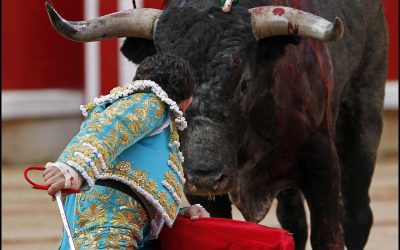 ¿EXISTE LA RAZA DE LIDIA?