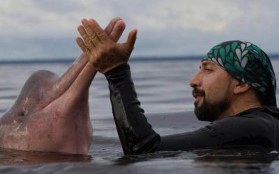 OMACHA: LA FASCINANTE HISTORIA DEL «HOMBRE DELFÍN» COLOMBIANO NOMBRADO EXPLORADOR DEL AÑO DE NATIONAL GEOGRAPHIC