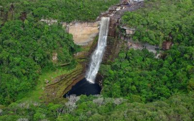 SABIAS QUÉ: ¿EL PARQUE NACIONAL NATURAL SERRANÍA DE CHIRIBIQUETE TENDRÁ “PROTECCIÓN VITALICIA”? (COLOMBIA)