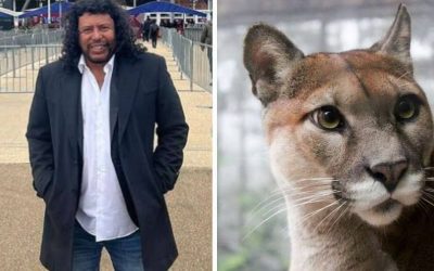 RENÉ HIGUITA SALVÓ LOS PUMAS QUE IBAN A SACRIFICAR EN YONDÓ (COLOMBIA)
