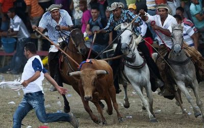 CORRALEJAS EN COLOMBIA, LA LEGITIMACIÓN DEL MALTRATO Y LA MUERTE