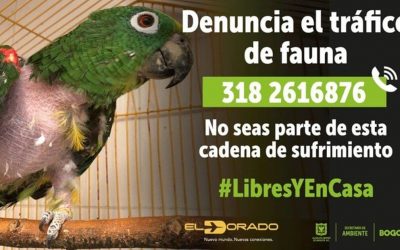 TURISMO CON CONCIENCIA