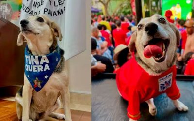 PERSONAJE DE LA SEMANA: TINA, UNA ACTIVISTA EN PRO DE LOS ANIMALES (PANAMÁ)