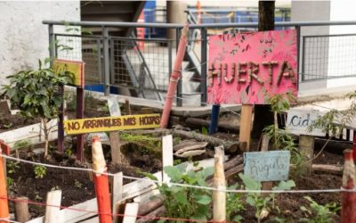 SABIAS QUÉ: ¿MUCHAS DE NUESTRAS BIBLIOTECAS TIENEN HUERTAS Y QUE EN ELLAS LOS USUARIOS Y COLABORADORES DE LA RED PARTICIPAN JUNTOS? (COLOMBIA – BOGOTÁ)
