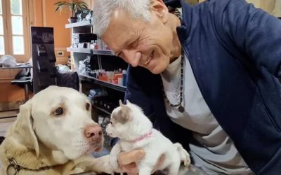 BONGO, EL PERRO “ENFERMERO”