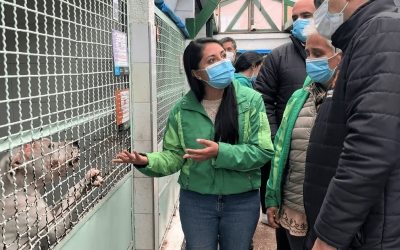 PROYECTO DE LEY BUSCA PENALIZAR EL ABUSO SEXUAL EN CONTRA DE LOS ANIMALES EN COLOMBIA