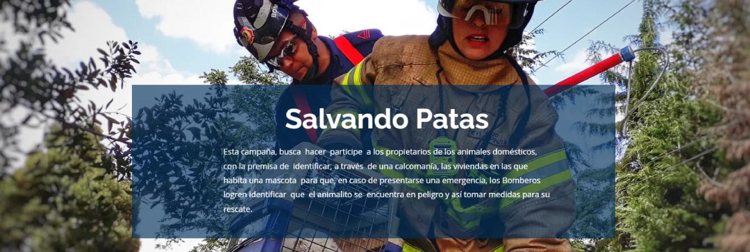 SALVANDO PATAS DE BOMBEROS DE BOGOTÁ (COLOMBIA)
