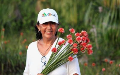 MARTA TOLEDO, UNA FILÓSOFA QUE LOGRÓ RECUPERAR LA FLOR DE INÍRIDA (COLOMBIA)