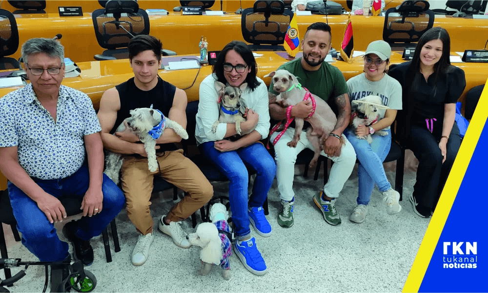 SABIAS QUÉ: ¿EL CONCEJO DE CÚCUTA APROBÓ PROYECTO PARA AYUDAR A ANIMALES CON DISCAPACIDAD? (COLOMBIA)