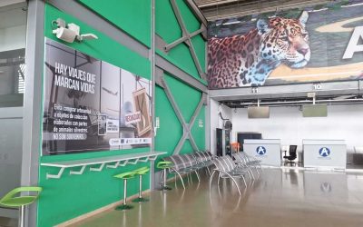 SABIAS QUÉ: WCS Y USAID LANZAN LA CAMPAÑA “HAY VIAJES QUE MARCAN VIDAS” “EN AEROPUERTOS DEL AMAZONAS, CON LA QUE BUSCA SENSIBILIZAR SOBRE EL TRÁFICO DE FAUNA SILVESTRE EN AEROPUERTOS