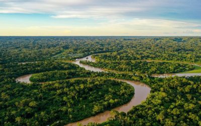 AMAZONIA, EL BOSQUE TROPICAL MÁS GRANDE DEL MUNDO, ESTÁ EN PELIGRO (COLOMBIA)