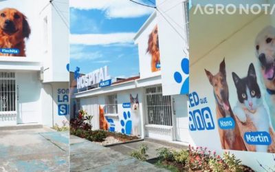 PRIMER HOSPITAL PÚBLICO VETERINARIO EN COLOMBIA, PEREIRA (RISARALDA)